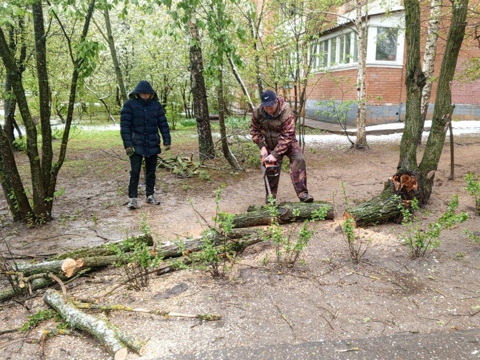 Упавшие во время майского снегопада деревья убрали во Власихе