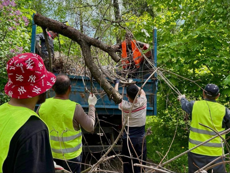 Как прошел экоквест в Горках Ленинских
