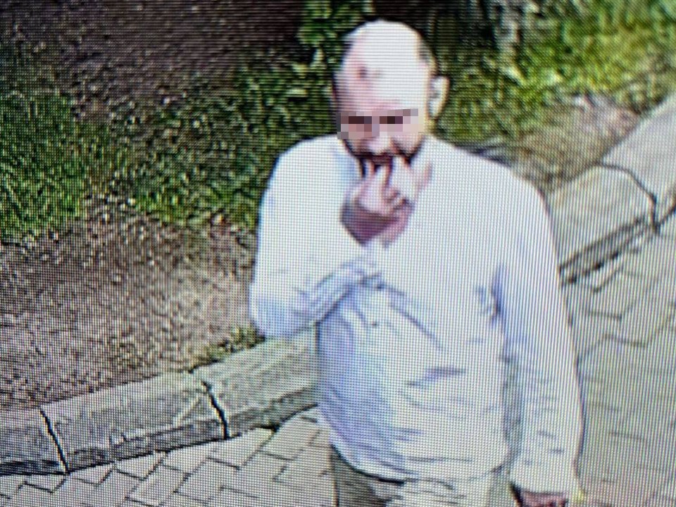 «Хотел привести их в чувство»: что известно об отравителе зверей из зоопарка и есть ли у него подражатели в Подмосковье