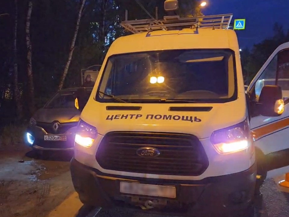«Центроспас» прибыл на помощь лосенку в Истринском округе