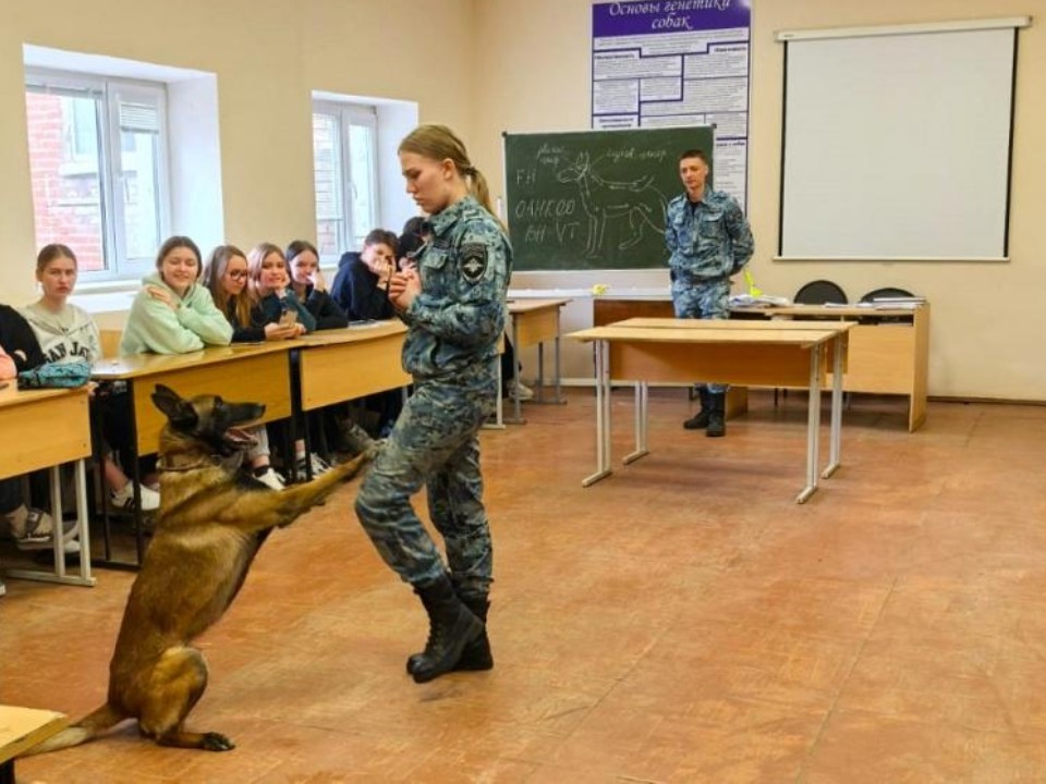 «Собаки выполняли команды мгновенно»: в Дмитрове прошел мастер-класс для кинологов