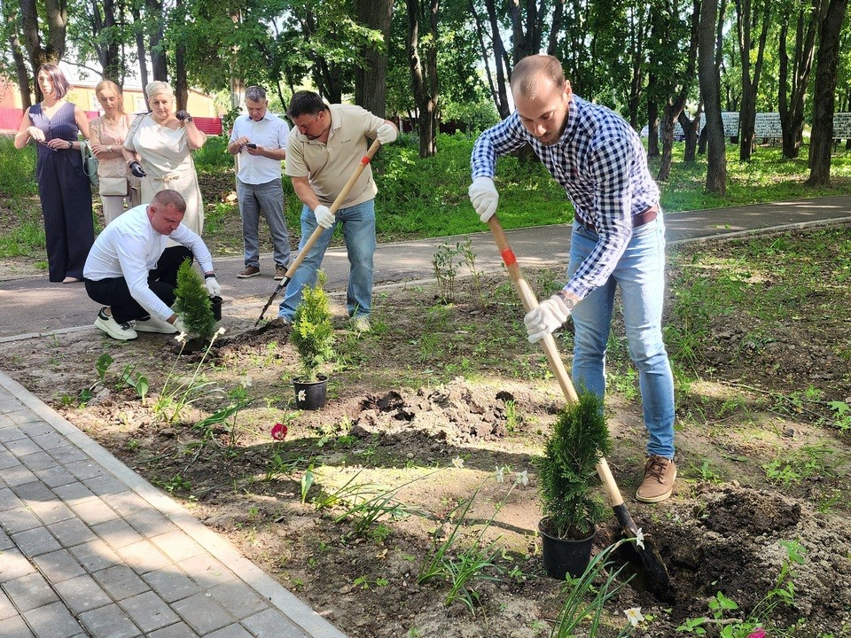 В Луховицах предприниматели в честь профессионального праздника посадили аллею туй