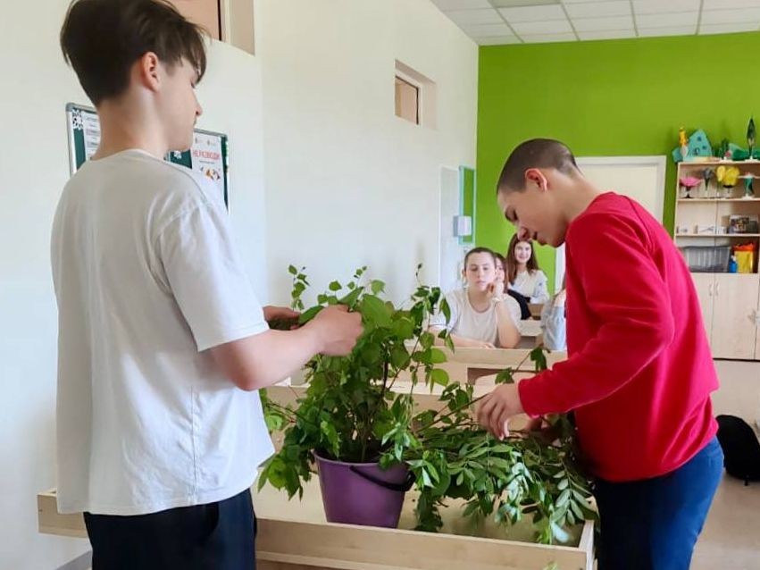 Фотоархив природных явлений соберут за летние каникулы школьники Можайска