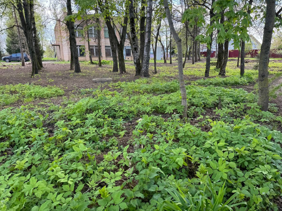 В Клементьеве обустроят парковку, тротуар и детскую площадку в июне