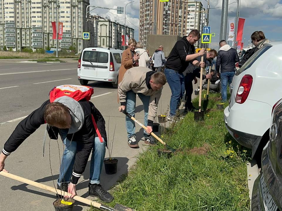 Сад вместо парковки: экологическая акция прошла в Южном