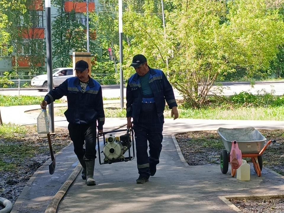 Мотопомпа и пожарные рукава: как в Лобне осушали территорию центрального парка