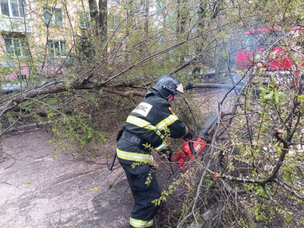 В районе Фермы и на Скобяном шоссе ликвидируют упавшие деревья