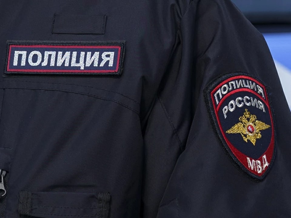 Полиция задержала банду квартирных воров в Мытищах