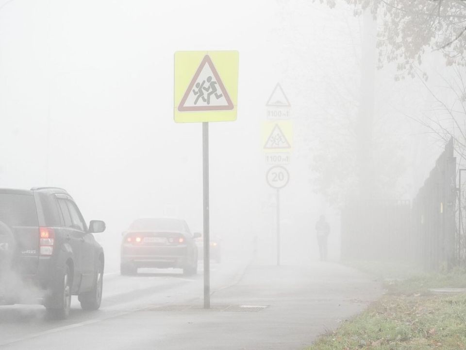 МЧС Подмосковья предупредило о тумане