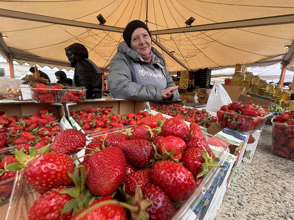 На рынки Одинцова прибыла первая партия крымской клубники