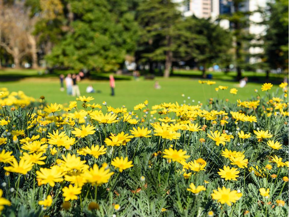 Дату возвращения жары в Люберцы назвала синоптик Позднякова