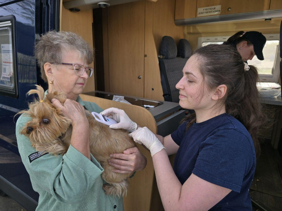 Где и как зарегистрировать домашних животных в Можайске