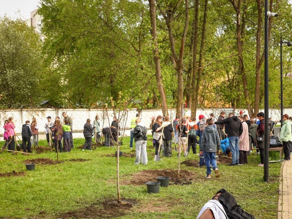 В Раменском состоялась акция «Сад памяти», приуроченная к 80-летию Победы