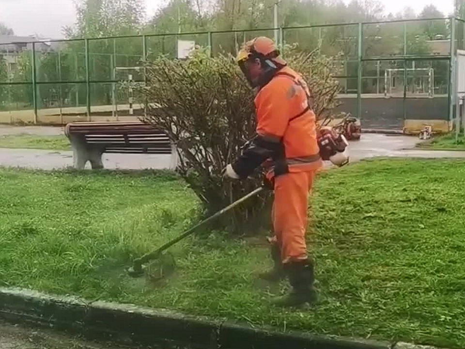 В Истре начались масштабные работы по покосу травы