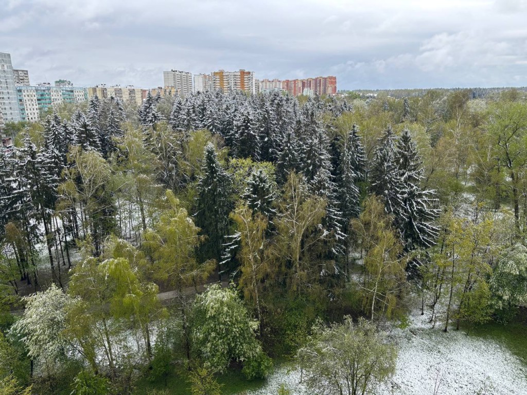 Краснознаменские власти предупреждают жителей о новом снегопаде