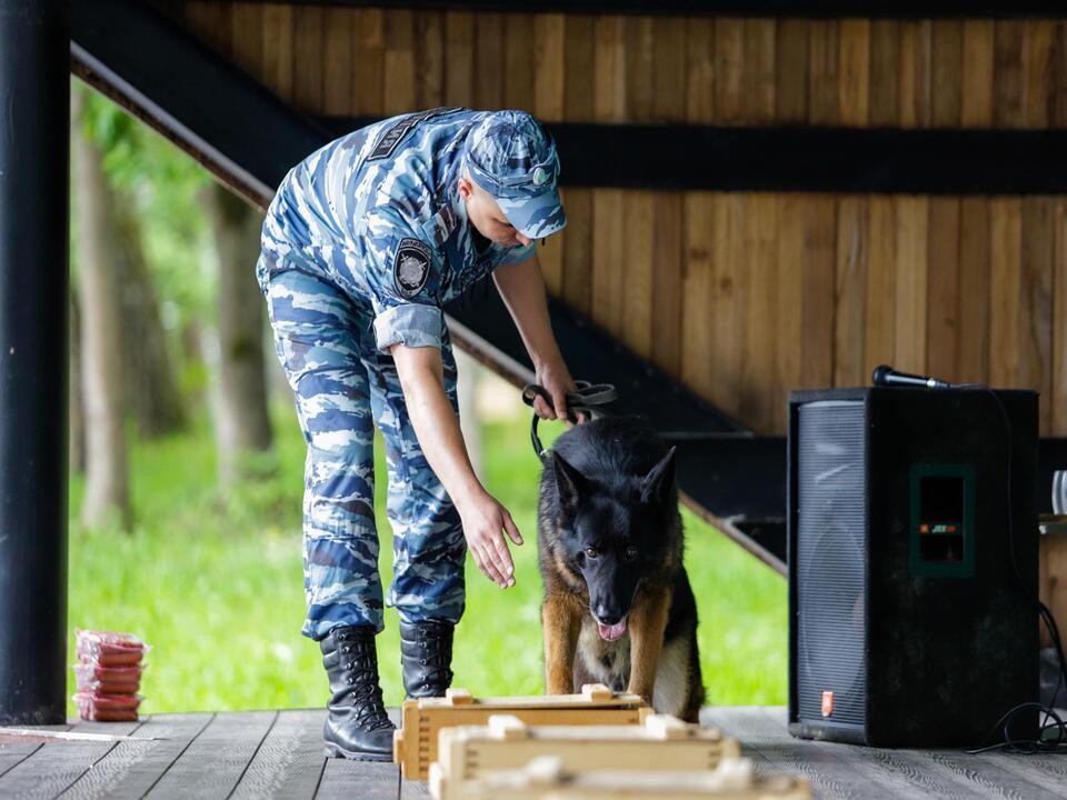 В парке пройдет фестиваль по мотивам легендарного фильма, снимавшегося в Кашире