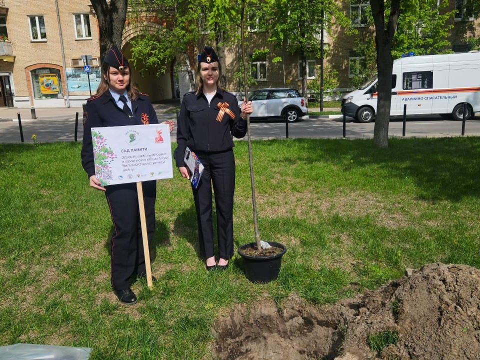 В сквере на ул. Маяковского высадили 80 лип в память о Героях Великой Отечественной войны