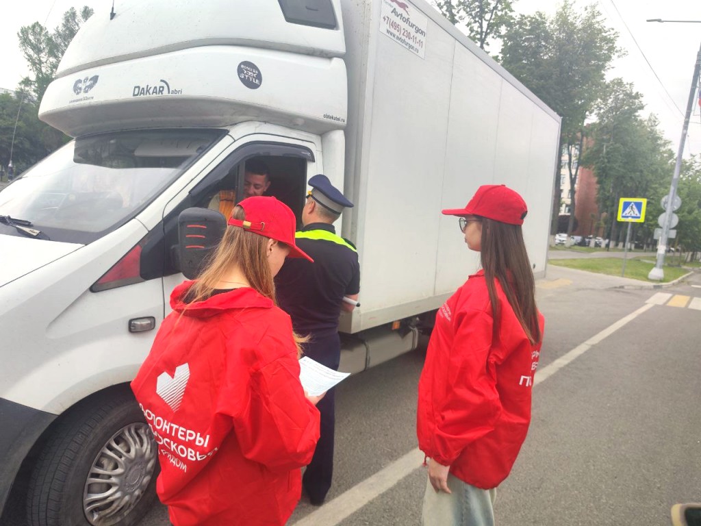 Совместная акция волонтеров и Госавтоинспекции прошла в центре Ступина