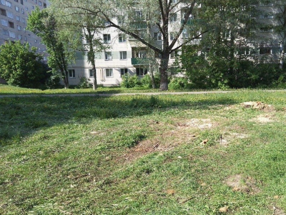 Поваленное дерево убрали в Истре со 2-й Юбилейной улицы