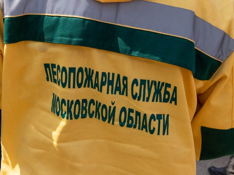 Комлесхоз предупредил о высокой угрозе пожарной опасности в лесах Подмосковья