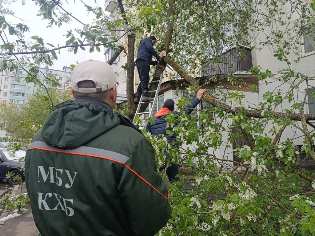 В Краснознаменске продолжают ликвидировать последствия урагана