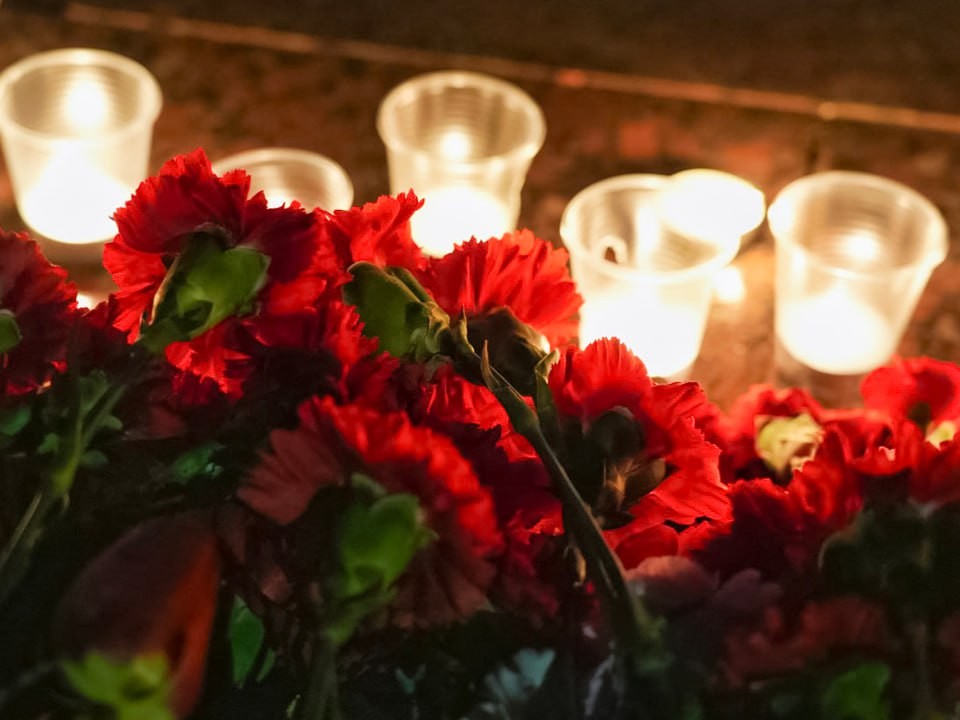 В центре Жуковского появилась двадцатиметровая световая проекция ко Дню Победы