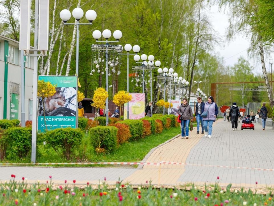Семейный спорт объединит каширян в городском парке