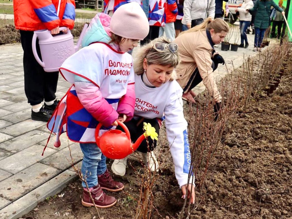 Живой памятник героям: в Ступине высадят «Сад Памяти» в честь 80-летия Победы