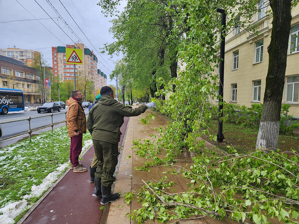 От МФТИ до сквера Долгова коммунальщики вывезли ветки поваленных деревьев