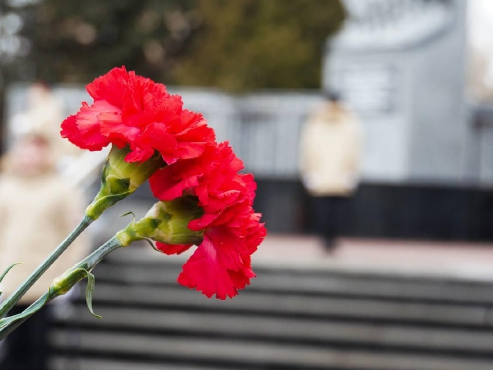 80 лет гордости и памяти: домодедовцев приглашают на праздник в парк «Елочки»