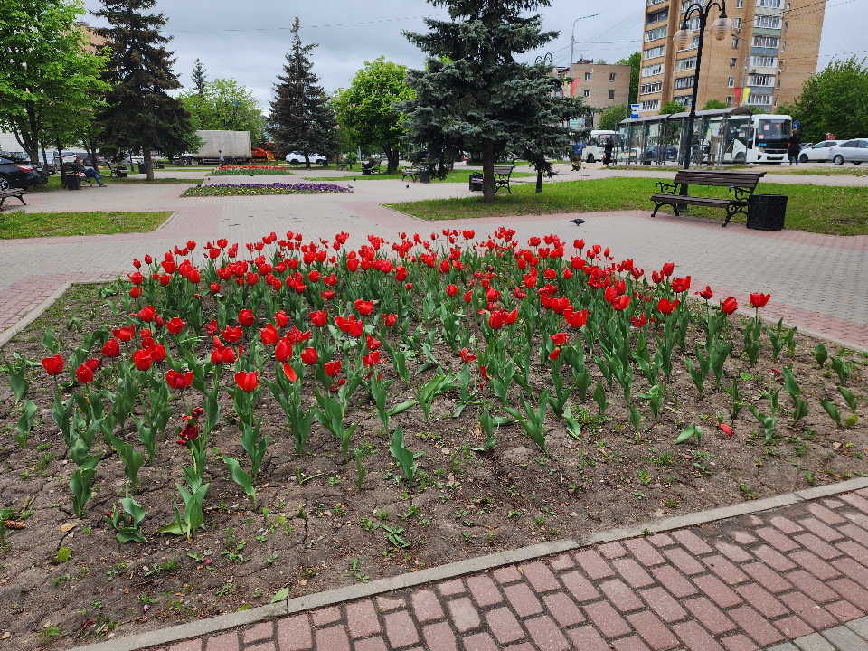 Весной и летом улицы Протвина украсят яркие цветы