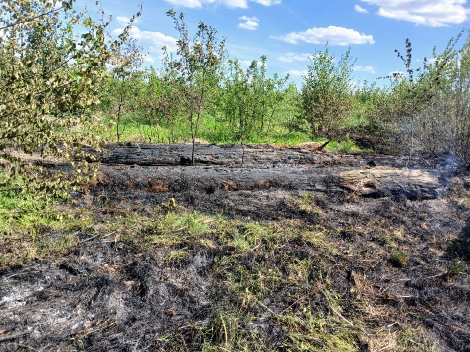 В трех округах Подмосковья ввели четвертый класс пожароопасности