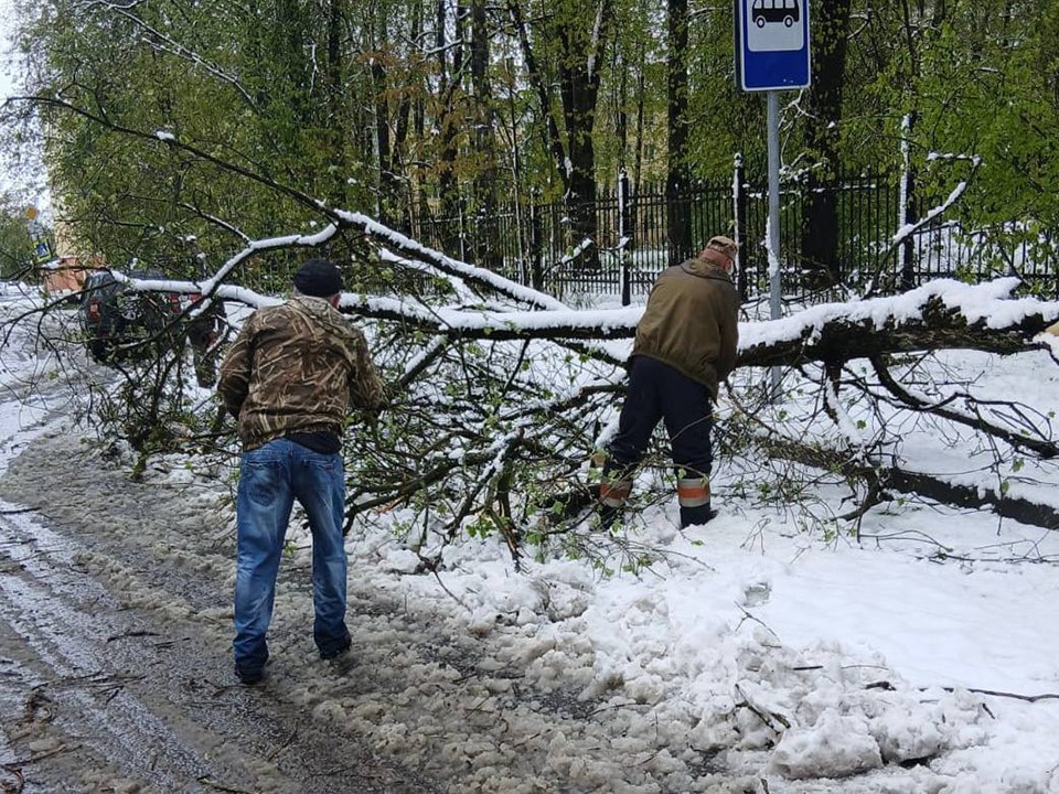 Клин побил рекорды по высоте майского снега