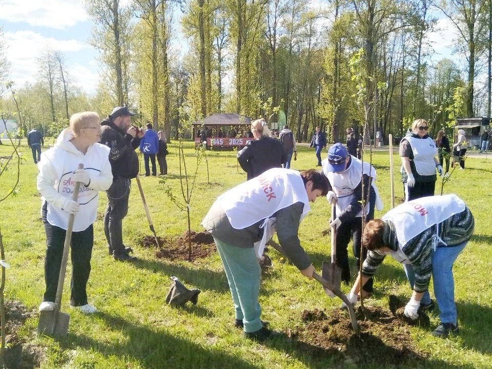 Пенсионеры Можайского округа высадили 80 деревьев в парке «Ривьера»