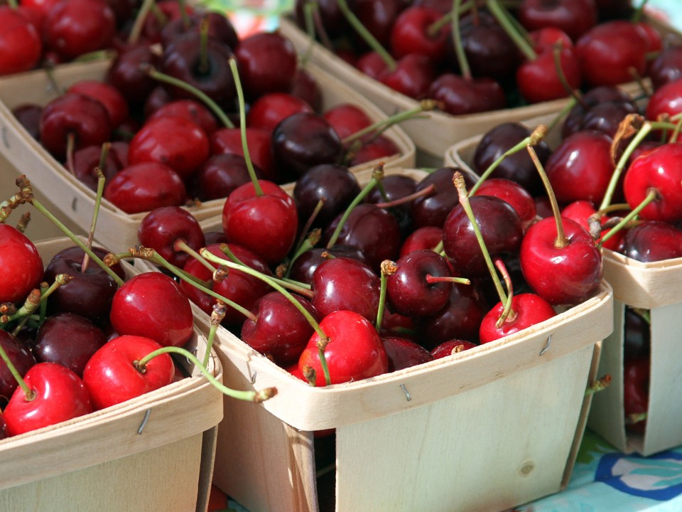 Сезон продаж ягод начался в Подмосковье