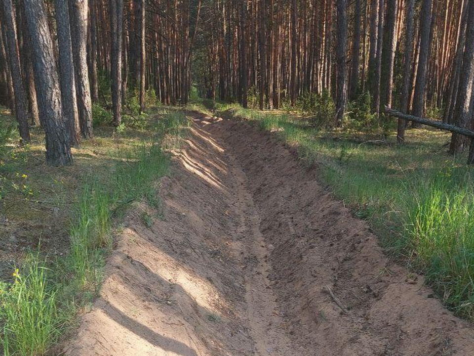 В Подмосковье выполнили треть работ по противопожарной защите лесов