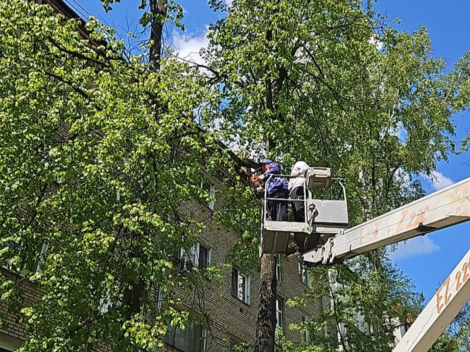 Во дворах на Чкалова, Дугина и Гагарина покосят траву и проведут опиловку деревьев
