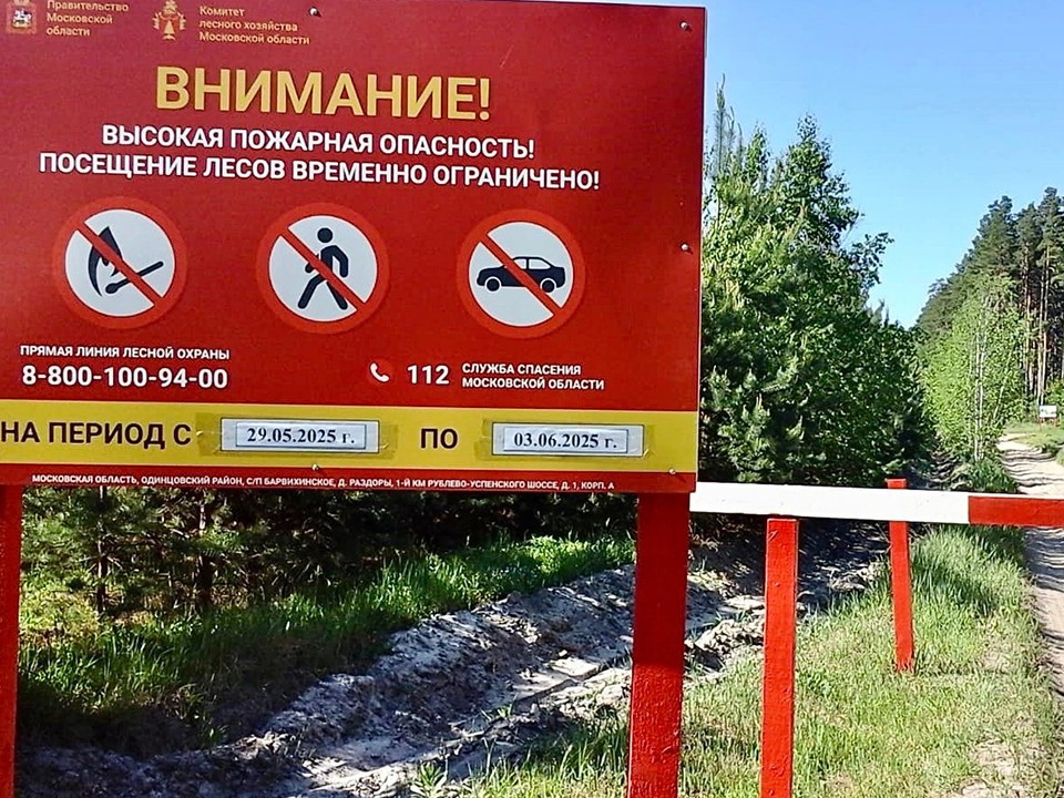 Дороги перекрыты, въезд запрещен: в лесах повышенная пожароопасность