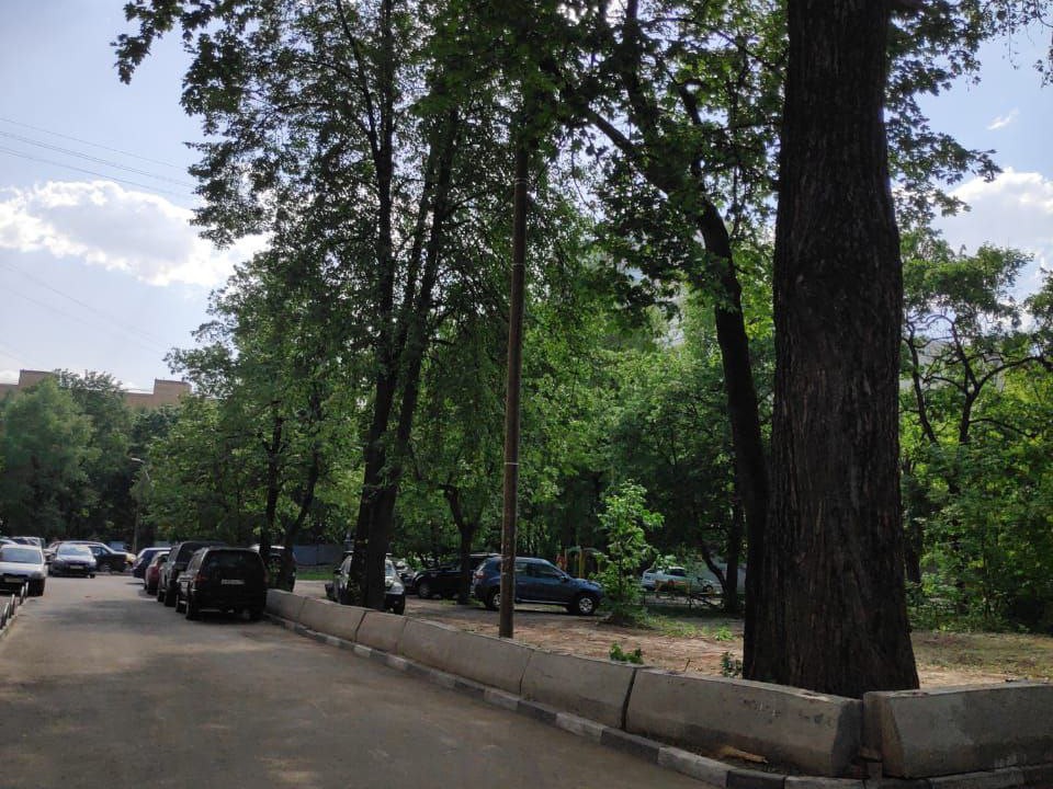 В Одинцове убрали дерево, упавшее на крышу автомобиля
