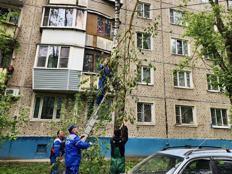 Сотрудники администрации Лобни помогут устранить последствия непогоды