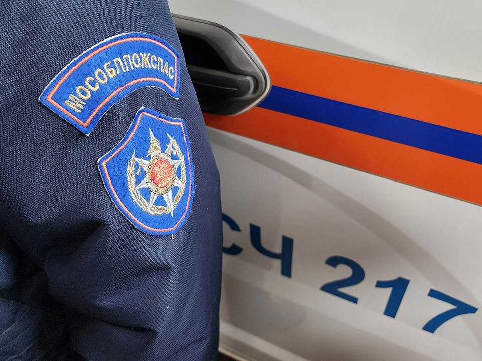 Безопасность на фестивале «Мелиховская весна» обеспечили пожарные Подмосковья