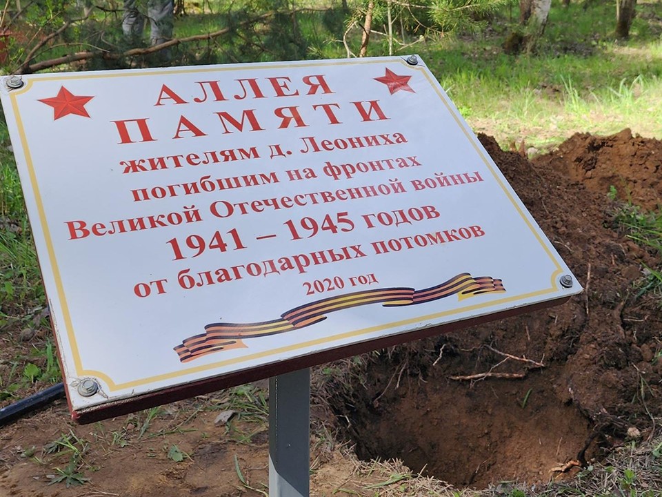В Леонихе высадили 80 сосен ко Дню Победы