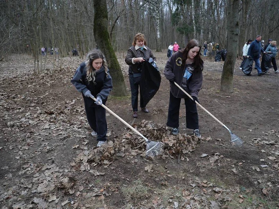 Более 45 тысяч жителей Балашихи приняли участие в «месячнике чистоты»