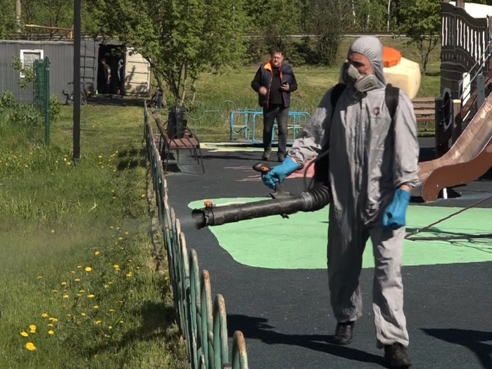 Детские площадки, скверы и парки Дубны защитили от клещей