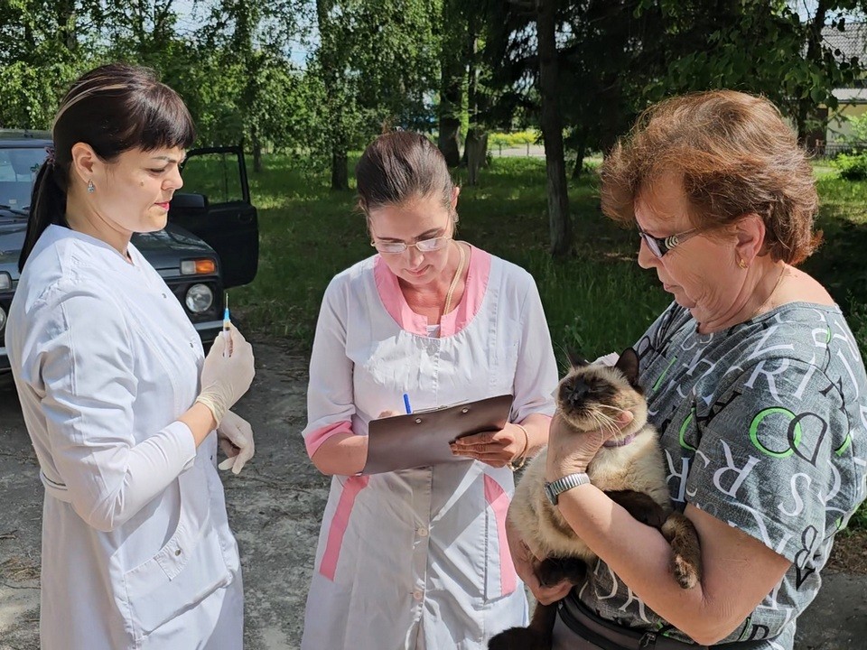 Луховицкие ветеринары бесплатно привьют домашних животных от бешенства в 5 деревнях