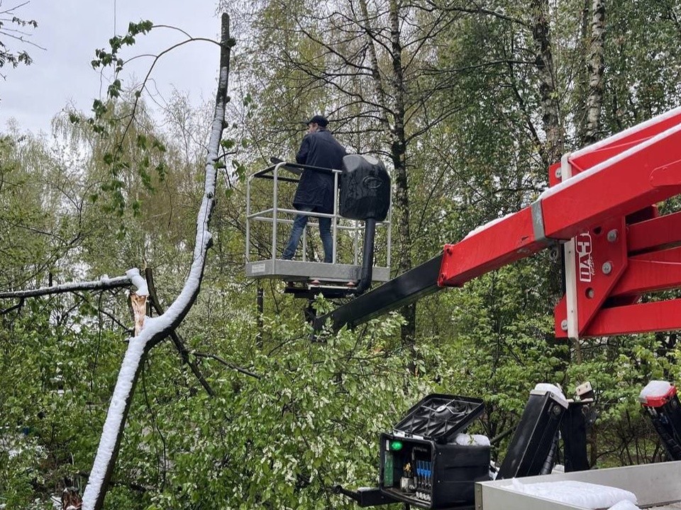 Электроснабжение восстановили в более 10 населенных пунктах Одинцовского округа