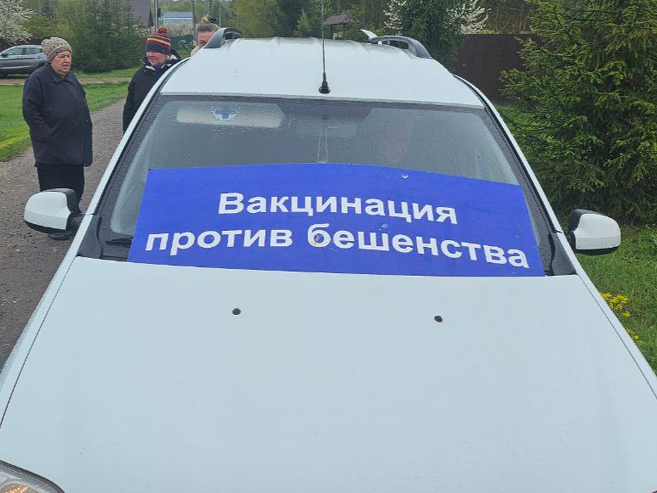 В Кузьминском лесопкарке домашним питомцам сделают прививки от бешенства