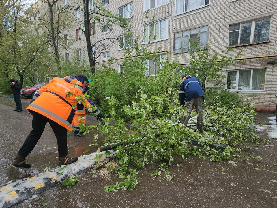 На улице Босова в Истре убрали упавшие деревья после снегопада и сильного ветра