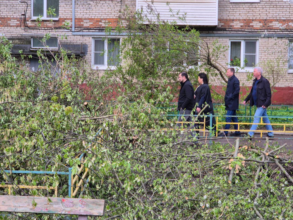 На улице Ленина в Лобне распилили крупное поваленное дерево