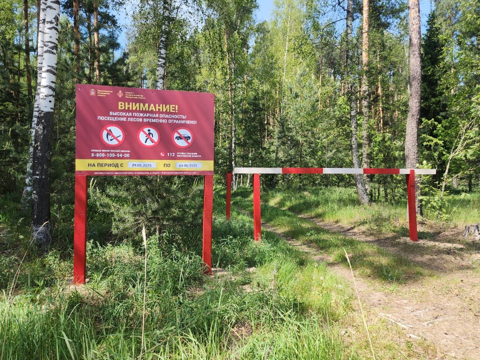 Жара поставила запрет на прогулках в лесу
